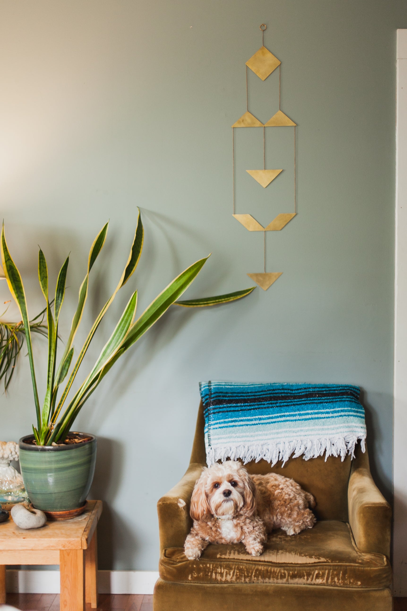 Home Goods & Accessories